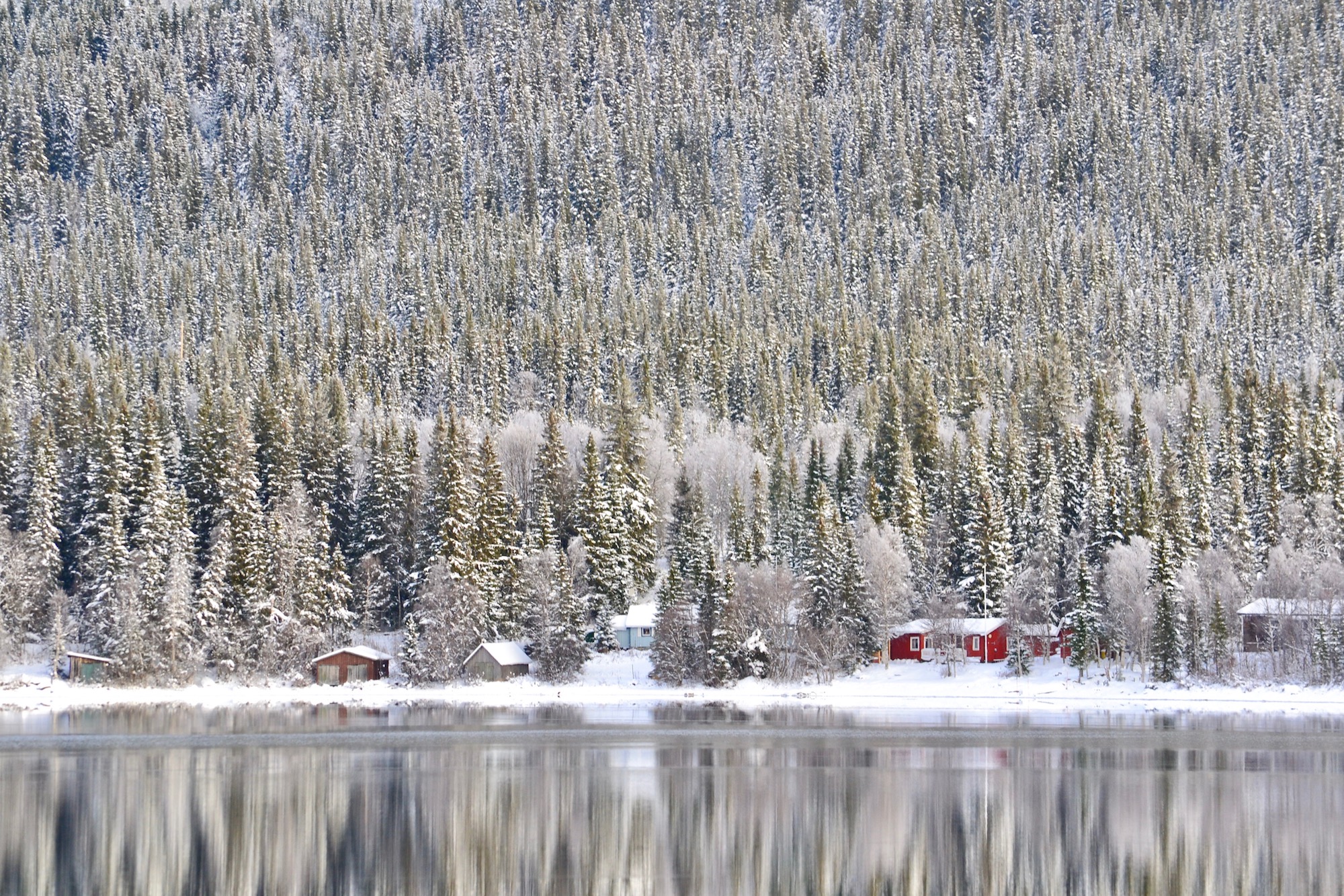 Vinter i Vallrun. Foto © flyttatillfjallen.se